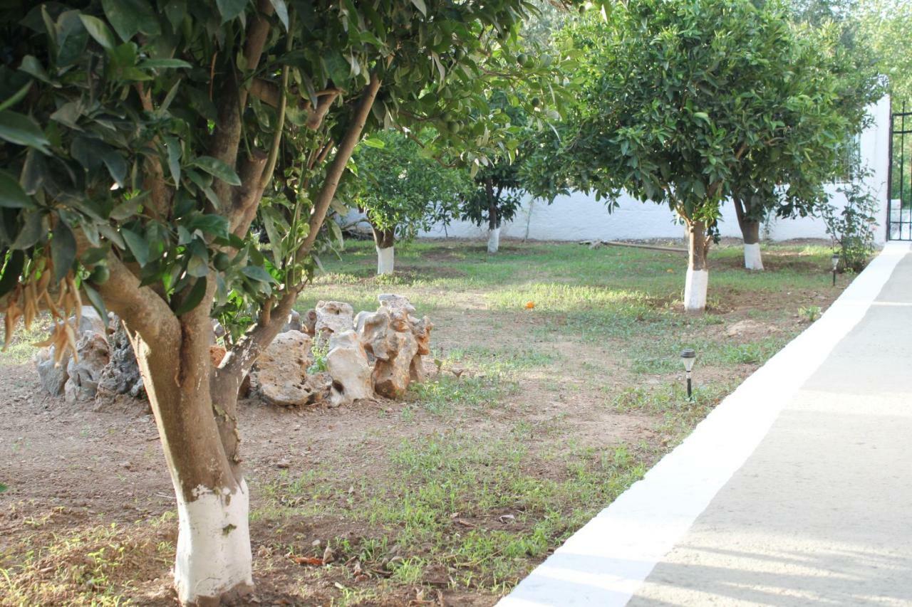 הוילה Avdou Elias Maro House מראה חיצוני תמונה